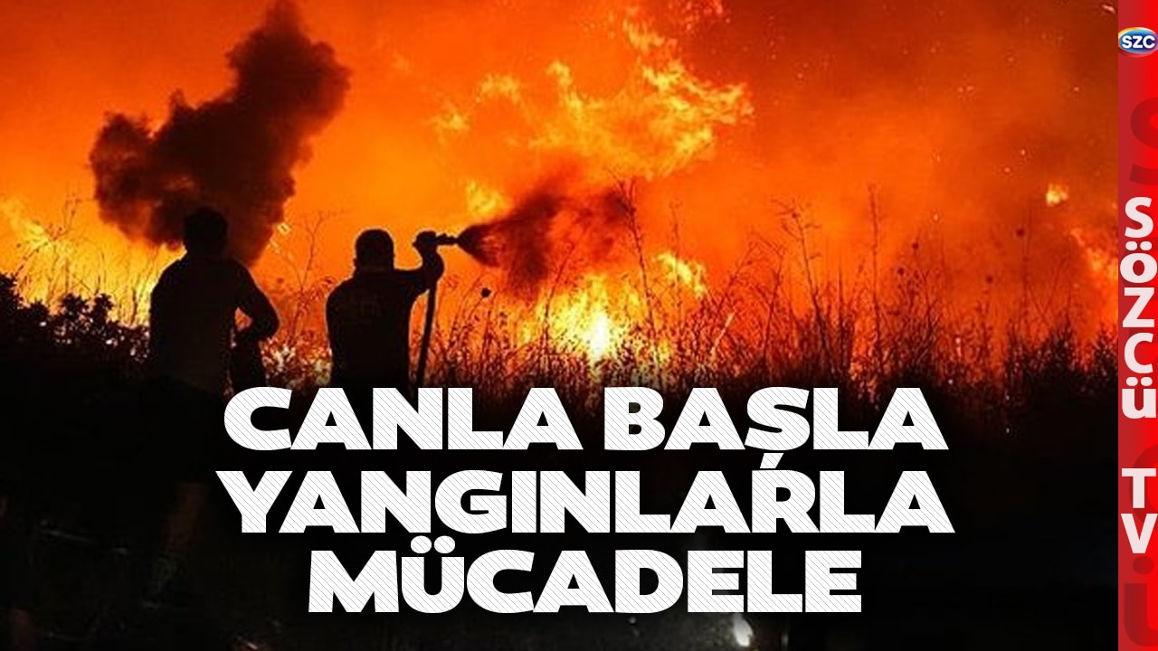İzmir Seferihisar Yangınına Müdahale Sürüyor! CANLA BAŞLA YANGINLARIN İÇİNDEKİ O MÜCADELE!